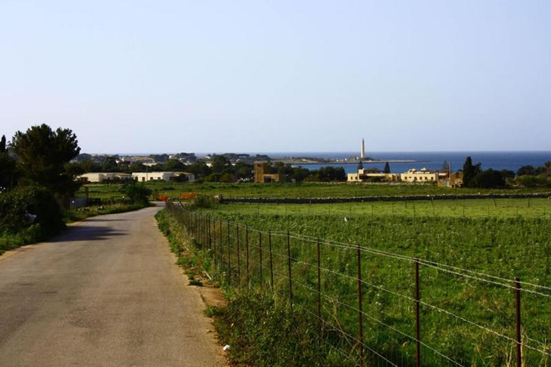 Case PaSeDa - image 16