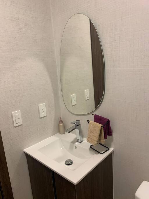 Confort suite La Carolina - image 7