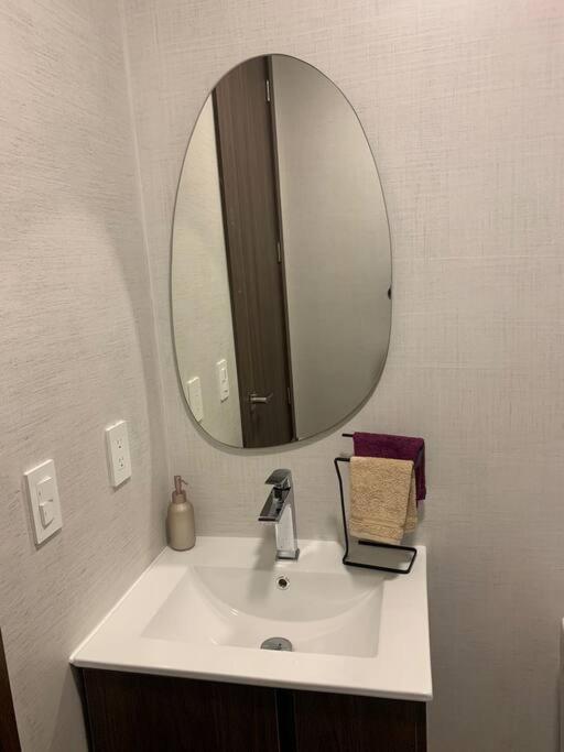 Confort suite La Carolina - image 9