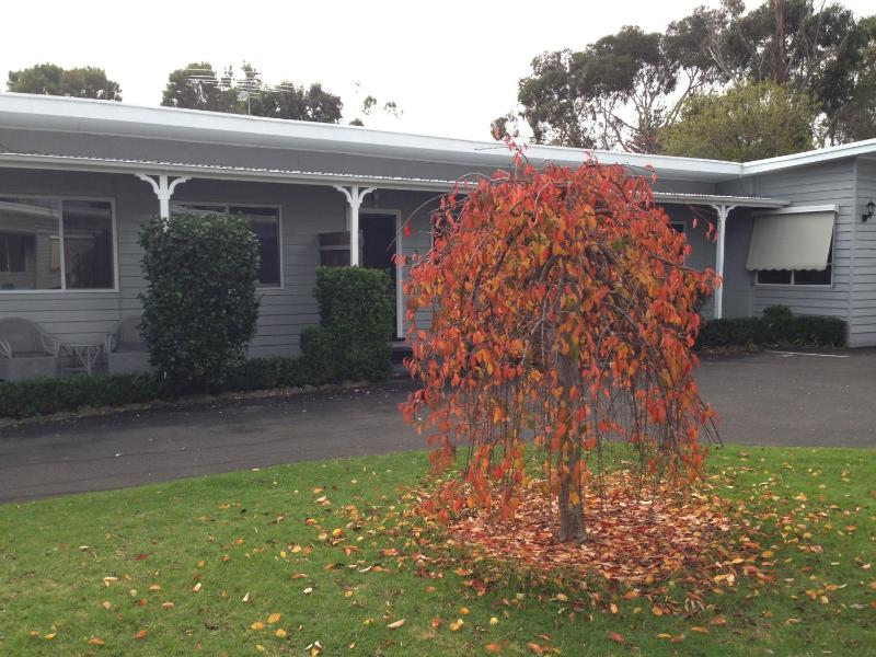 Phillip Island Cottages - image 10