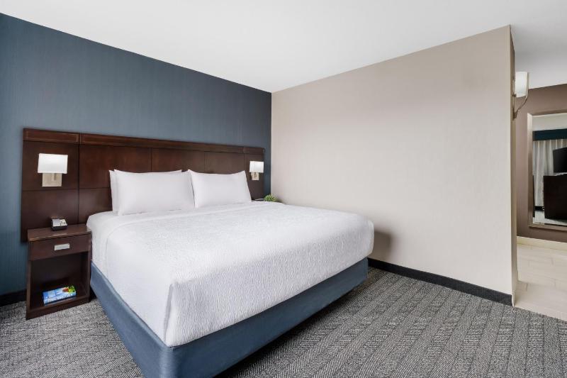Suite, 1 King, Sofa bed image 3