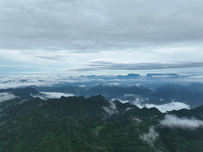 Serenity Valley - Zhangjiajie National Forest Park - image 33
