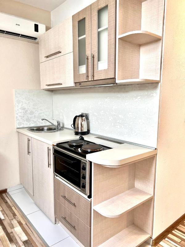 One-Bedroom Apartment image 4