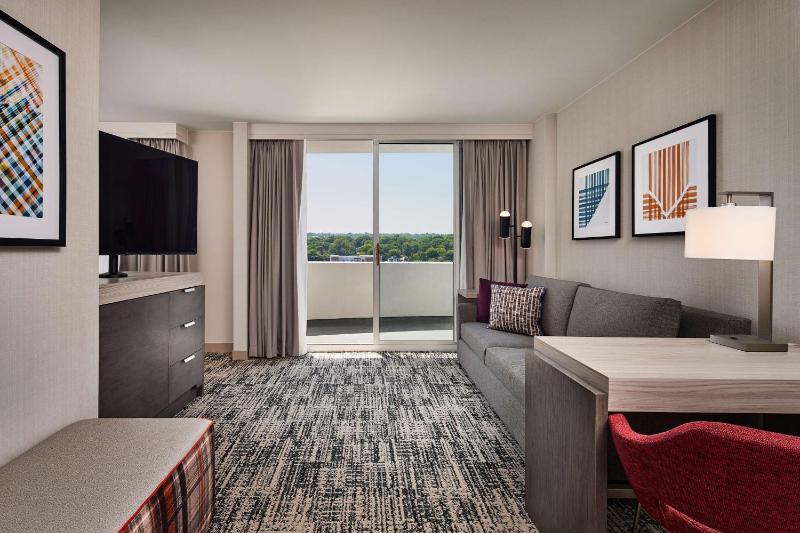 Deluxe King Studio Suite image 3