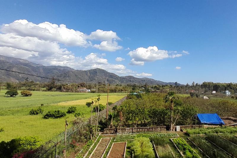 Forest Side Farm - Homestay at Kotabagh Near Nainital and Jim Corbett - image 21