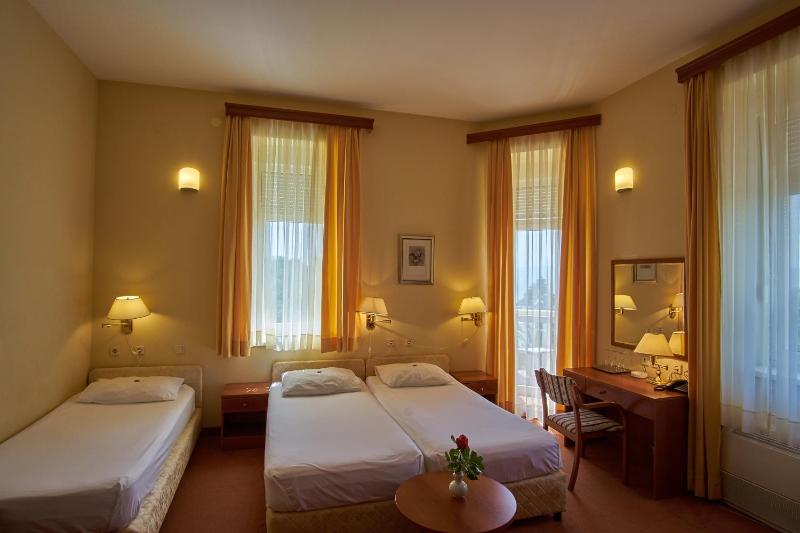 Hotel Vila Ružica- glavna zgrada i depandanse - image 43