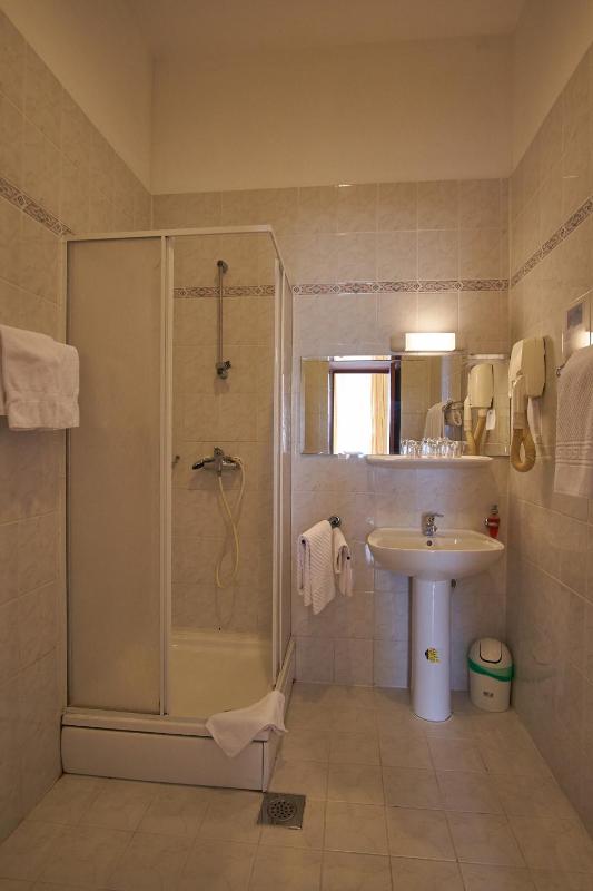 Hotel Vila Ružica- glavna zgrada i depandanse - image 45