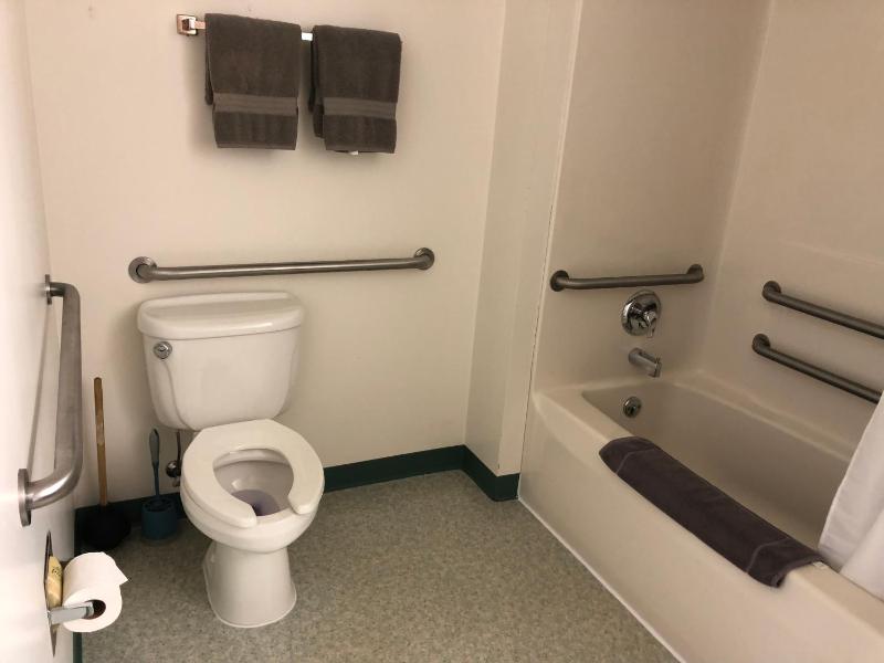 Single Room - Disability Access image 4