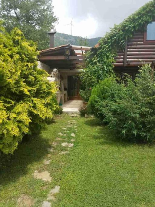 Top of the hill - Paradise - image 6