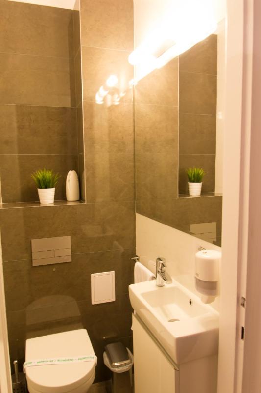 Two-Bedroom Apartment image 4