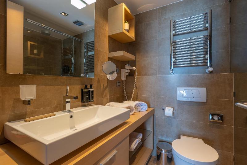 Premium Suite with Terrace image 3