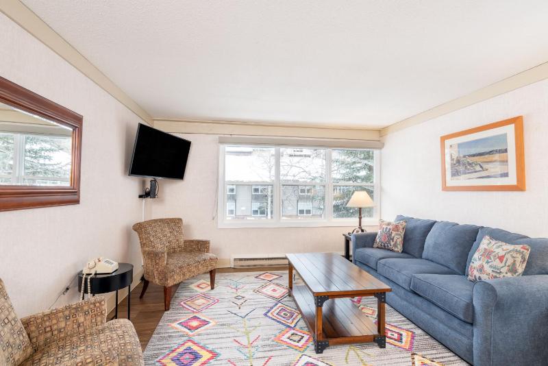 Mountainside Inn 122 by Alpine Lodging Telluride - image 1