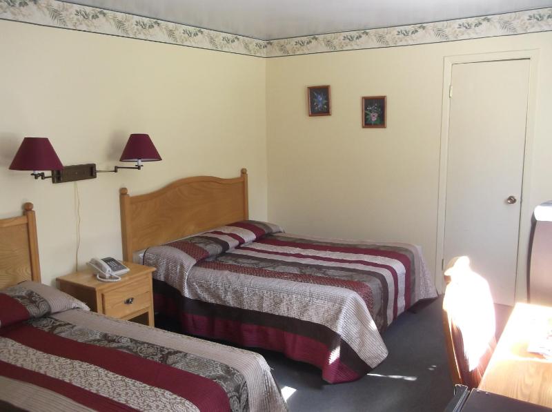 Auberge Mountain View Inn - image 24