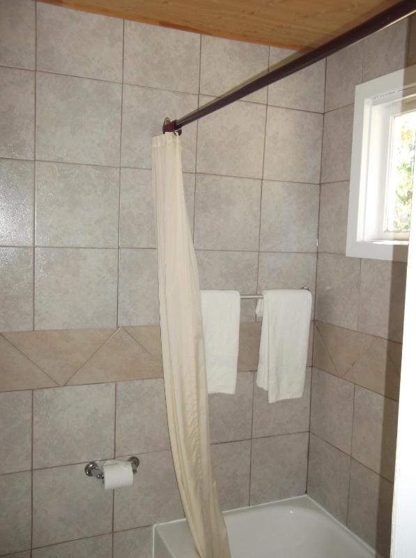 Auberge Mountain View Inn - image 12