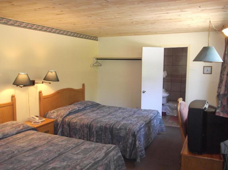Auberge Mountain View Inn - image 14