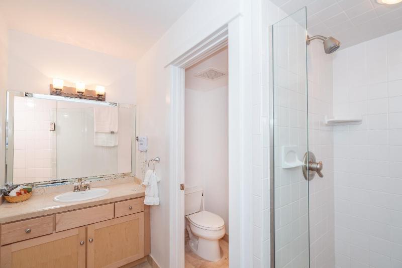 Mountainside Inn 106 by Alpine Lodging Telluride - image 11