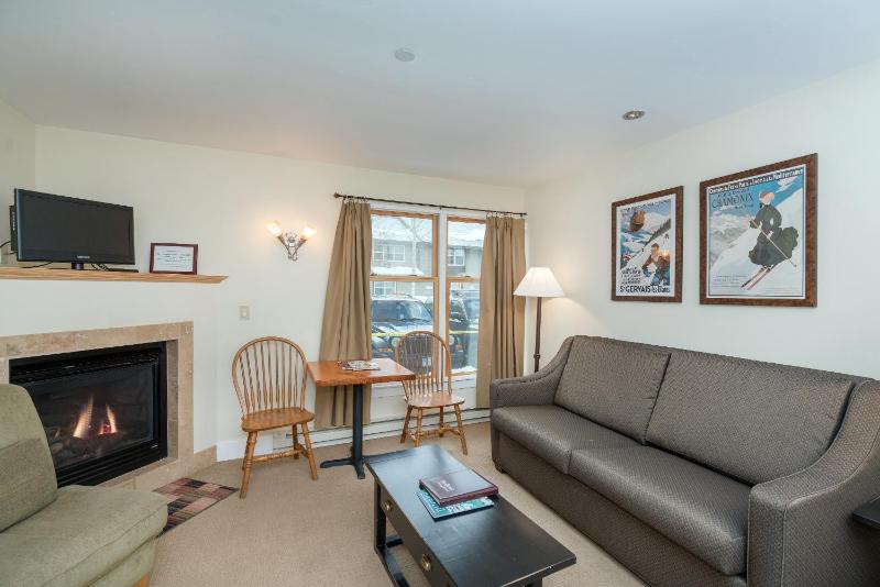 Mountainside Inn 104 by Alpine Lodging Telluride - image 7