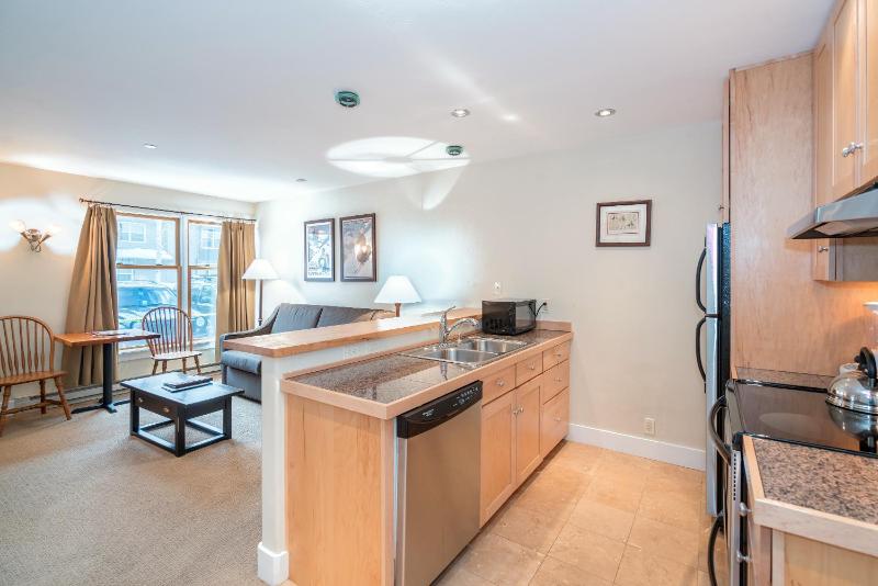 Mountainside Inn 104 by Alpine Lodging Telluride - image 4