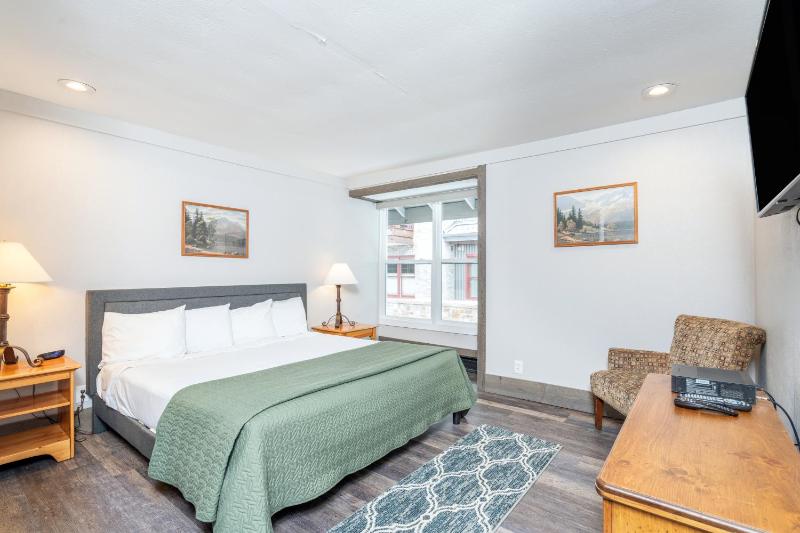 Mountainside Inn 313 by Alpine Lodging Telluride - image 6