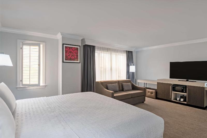 King Suite - Non-Smoking image 3