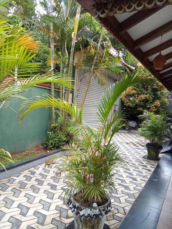 Thisumi Guest - image 1