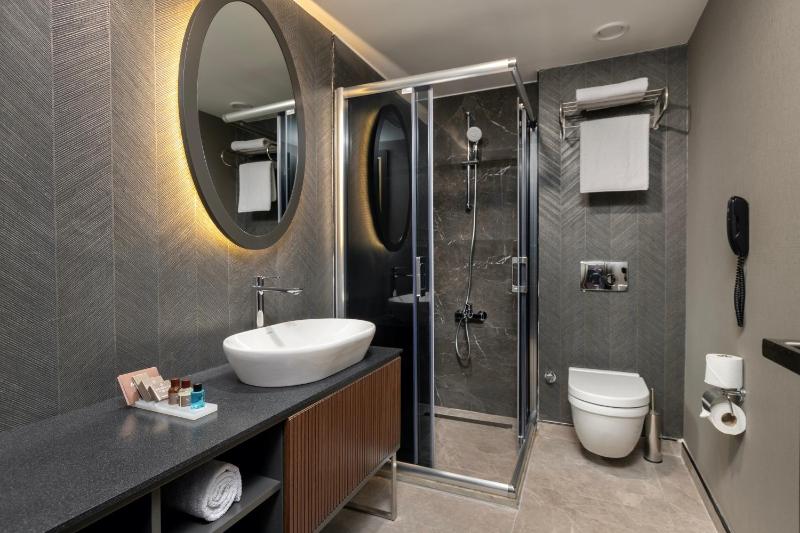 Premium Deluxe Room image 2