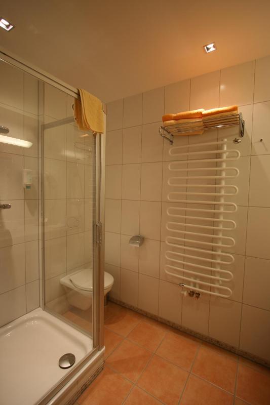 Apartment Type D image 4