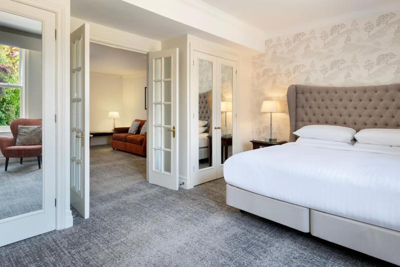 Large King Suite image 1