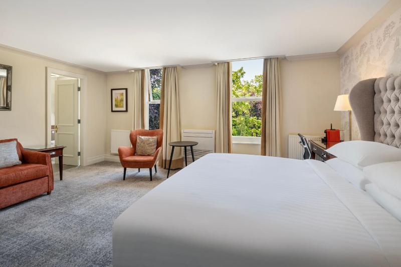Large King Suite image 4