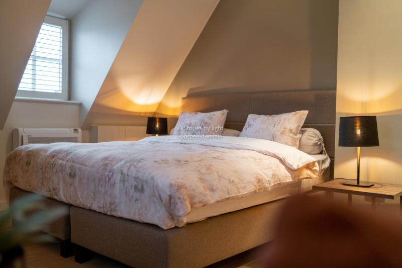 Deluxe Double Room image 1