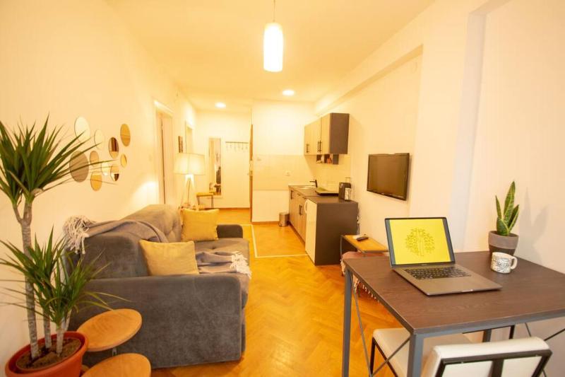 Yellow Circles Apt. on great location NEW - image 10