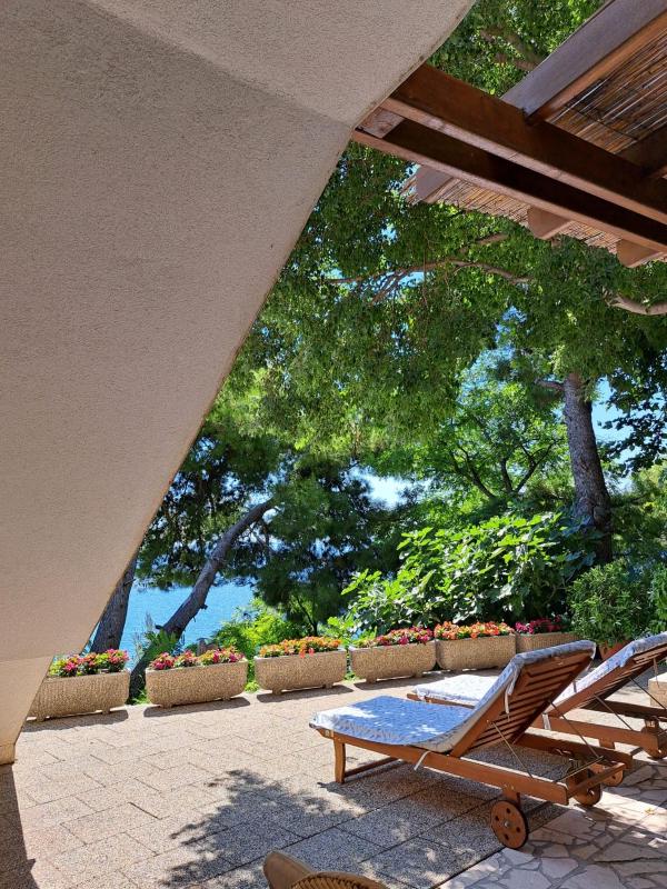 Apartments Garac - image 10