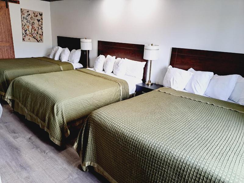 Dunes Motel - Bend - image 21
