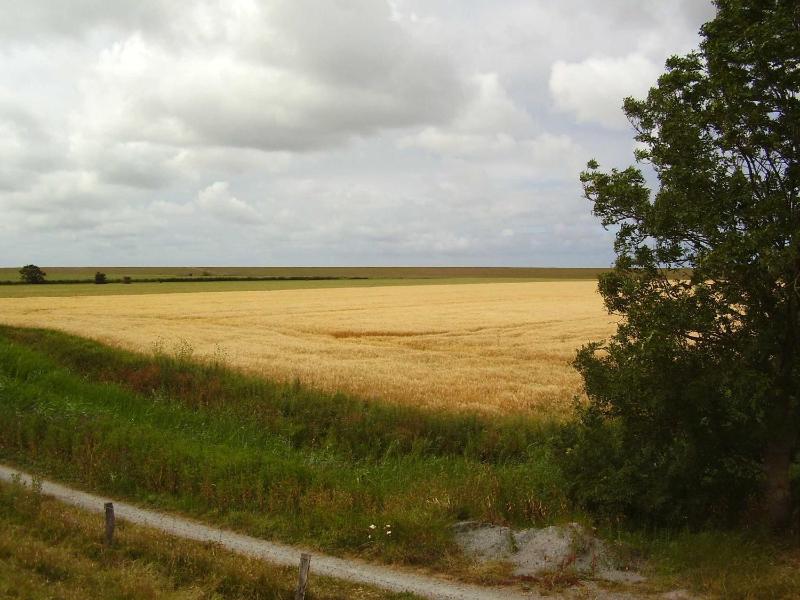 Ferienhaus in Nessmersiel 80-048 - image 23