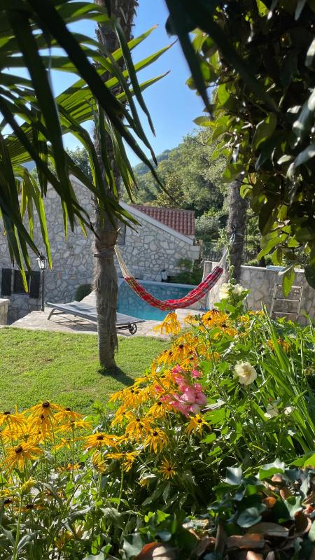 House in the Mountains near Budva - image 11