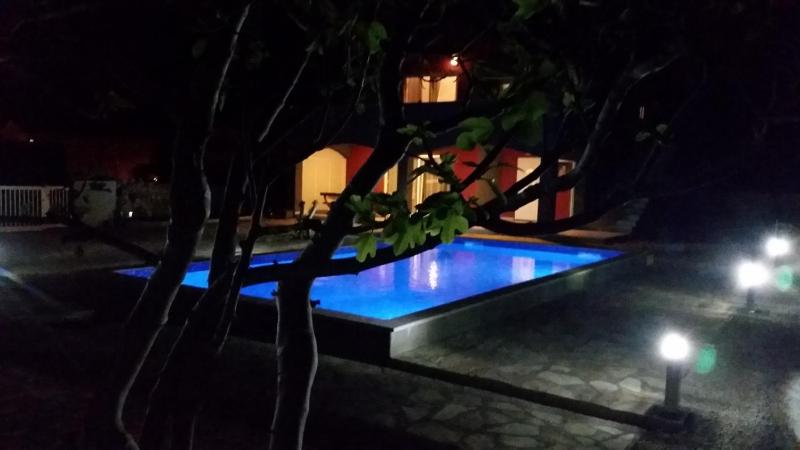 Villa with Private Pool image 2
