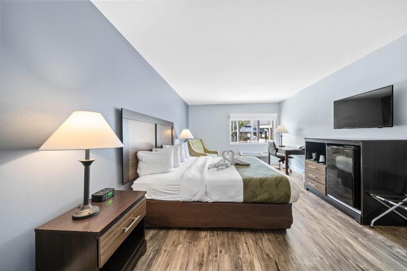 Quality Inn & Suites Tampa near Fairgrounds and Casino - image 36