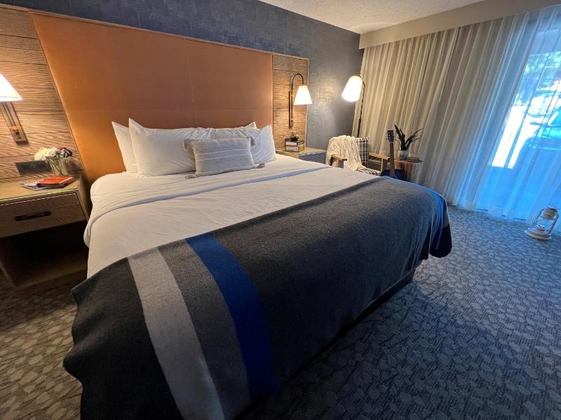 Deluxe King Room image 4