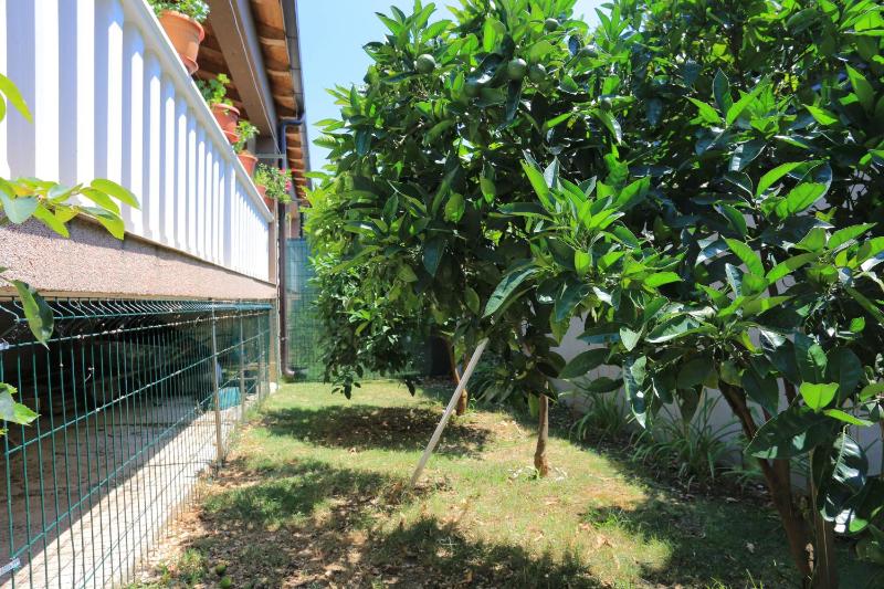 Holiday house with a parking space Kastel Stafilic Kastela - 21506 - image 6