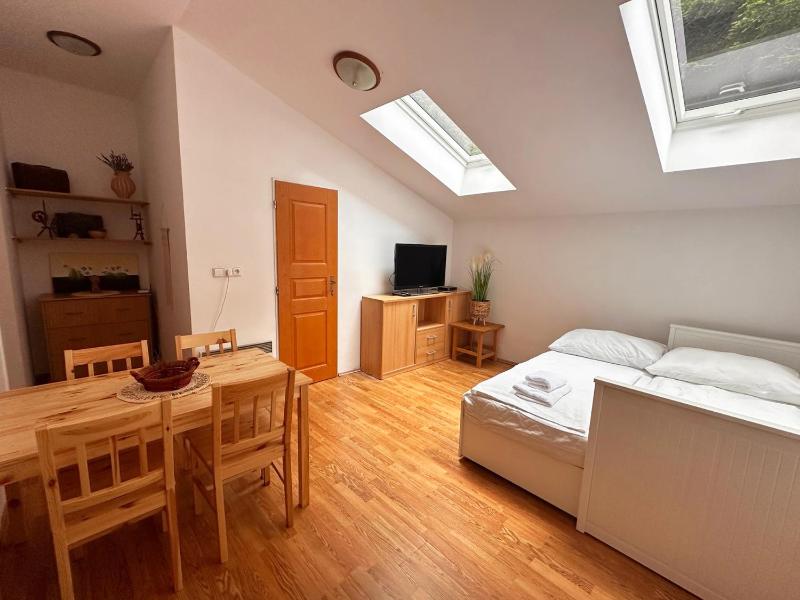 Superior Apartment image 2