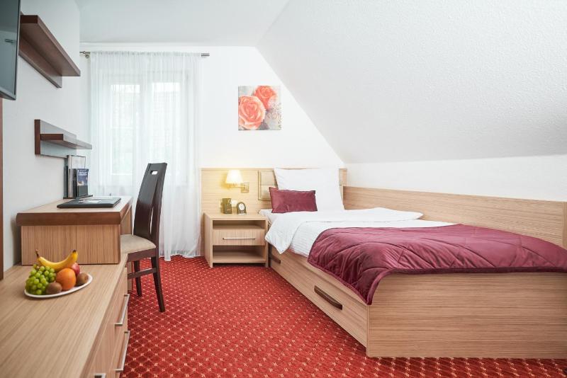 Single Room image 4