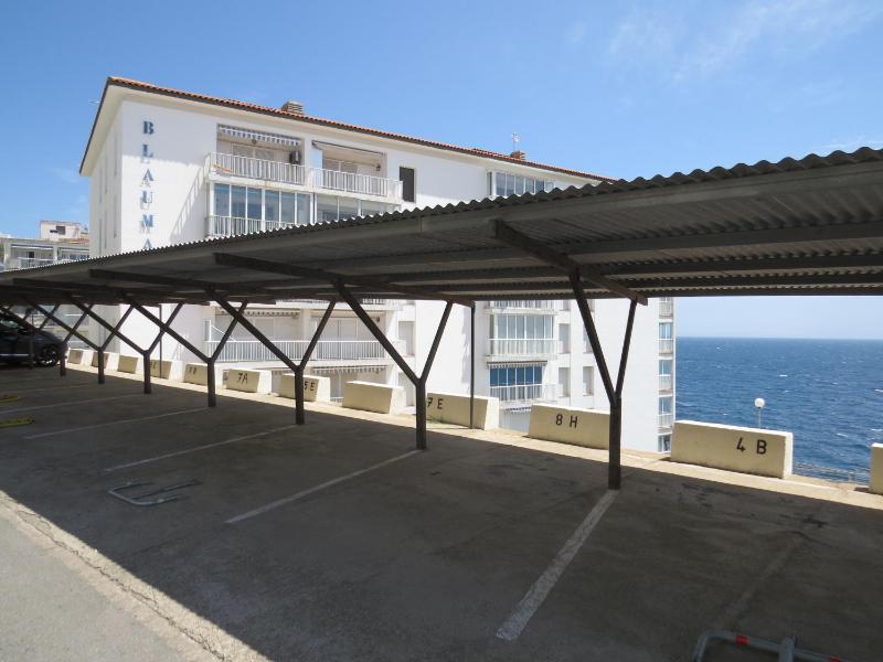 Blaumar - image 3