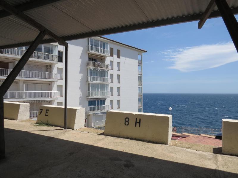 Blaumar - image 2