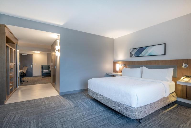 Junior King Suite with Sofa Bed image 4