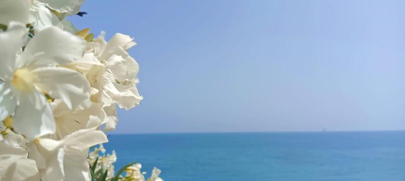 Apartamento Torre Alacant - image 11