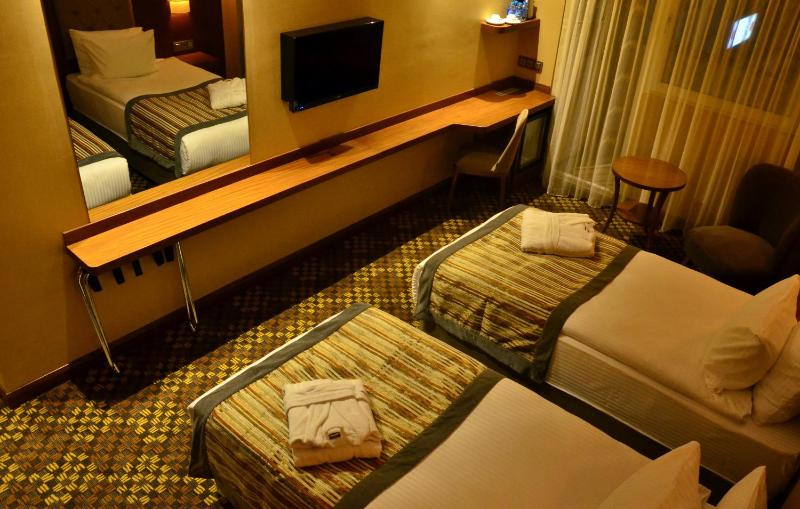 Twin Room - Disability Access image 3