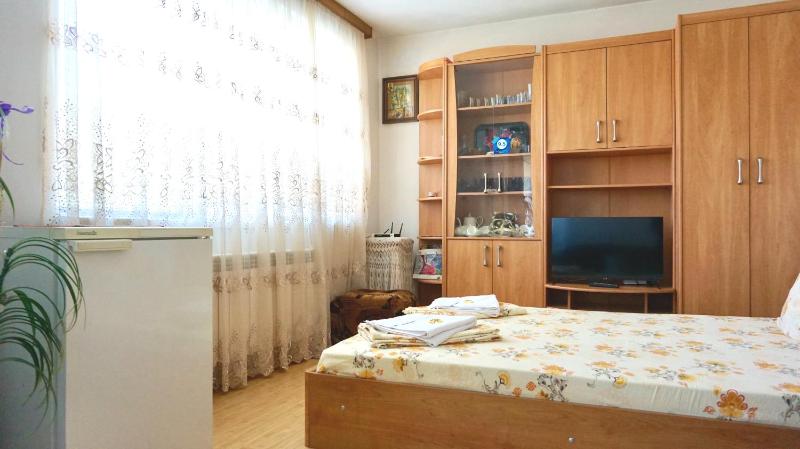 Apartment with Terrace image 4