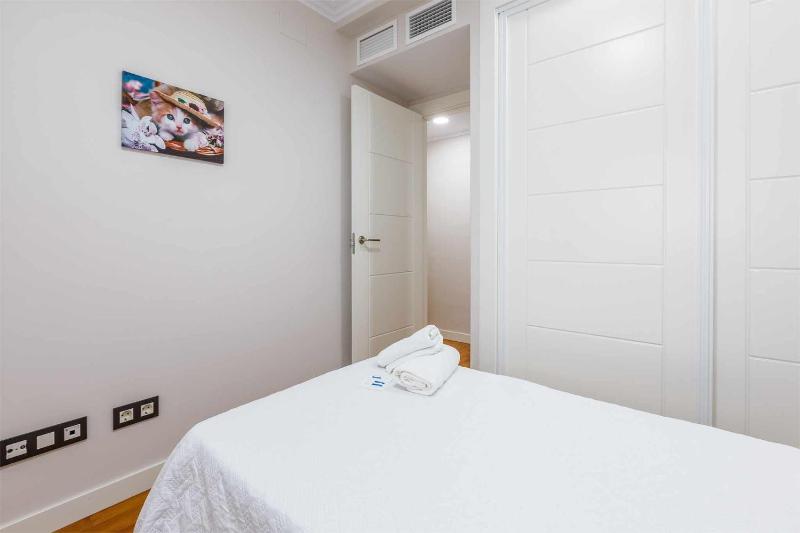 A&N City Penthouse with Private Terrace - image 12