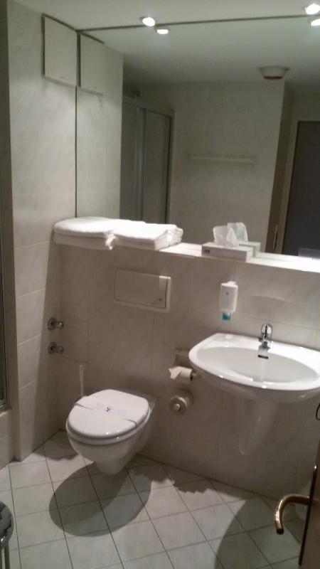 Single Room image 4