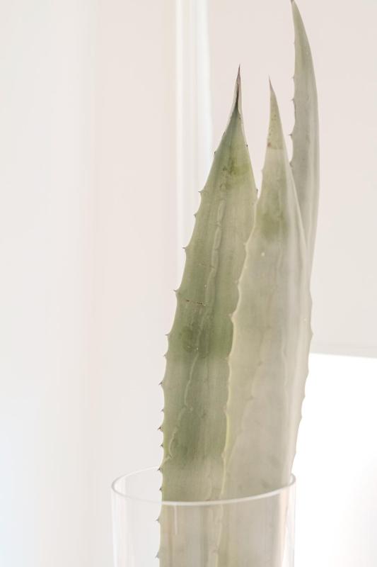 Maison R Boutique - image 36